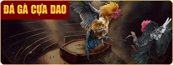 Đá gà cựa dao sv388