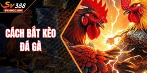Cách Bắt Kèo Đá Gà – Bí Quyết Chọn Cửa Thắng Dễ Dàng