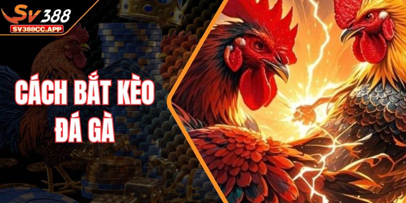 Cách Bắt Kèo Đá Gà – Bí Quyết Chọn Cửa Thắng Dễ Dàng