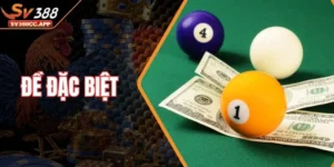 Đề Đặc Biệt – Bí Quyết Bắt Cầu Ăn Chắc Của Chuyên Gia